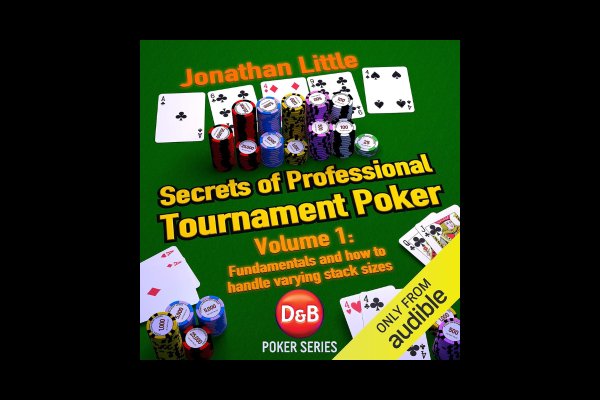 Secrets of Professional Tournament Poker Summary Cover